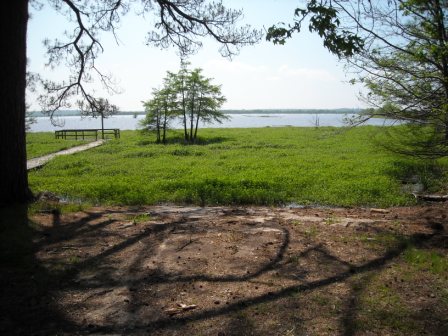 boat ramp blocked by vegetation